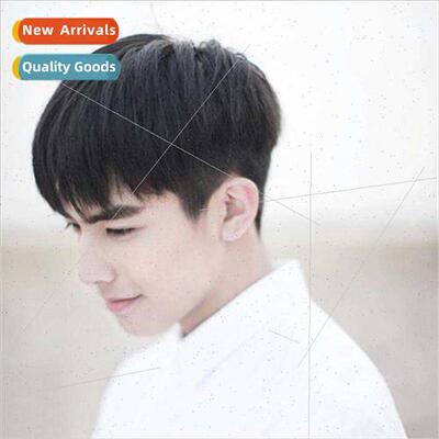 Europe wigs 适用men Korean fashion handsome short hair chemi