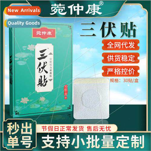 Ivana Zhongkang Sanfu Patch Winter Disease Summer Cure Moxib
