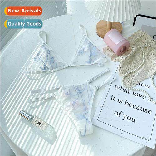 WomenMesh Lace Underwear Set Beauty Back Hollow ngerie Set
