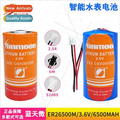 ER26500M Intelligent Water Meter Gas Gas Meter Flow Meter No
