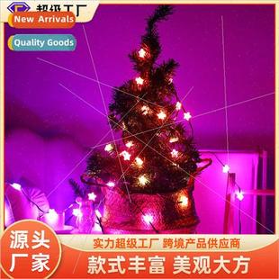 near Control ghts String Decoration Colorful Ambience Point