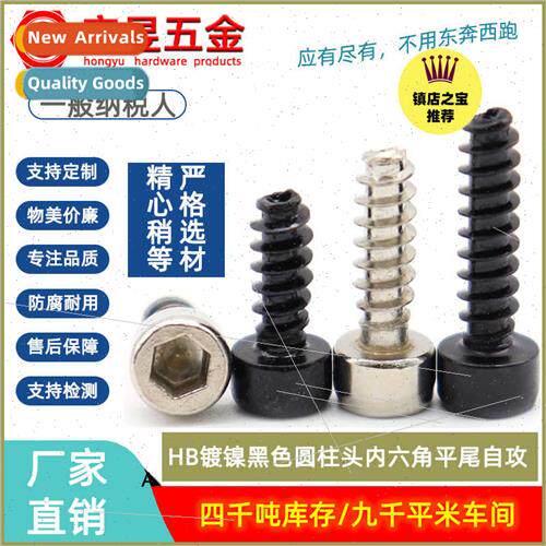 HB black hexagon socket cheese head flat-tailed self-tapping