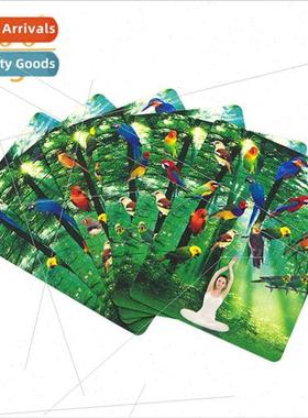 Birdwatcher Bird Counting Novelty Toys Poker Cards Close-up