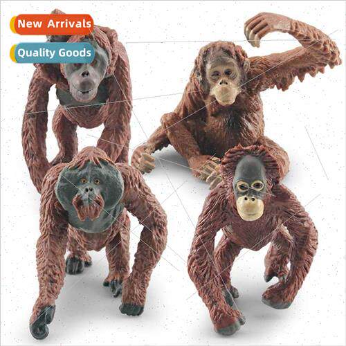 Wildlife model orangutan back cub children science education