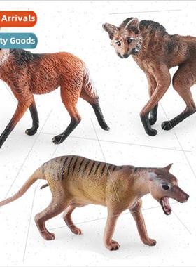 Steppe animal wolf model puzzle science education maned wolf