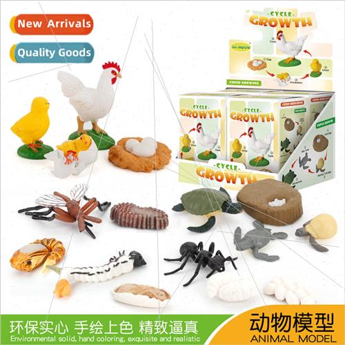 Solid frog animal growth cycle toys blind box turtle chick h