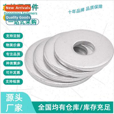 304 316 Stainless Steel Widened Flat Washer GB5287 Extra Lar