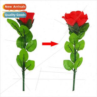 Slow Bloom Auto Blossom Roses Turn into Rings 适用Marriage P