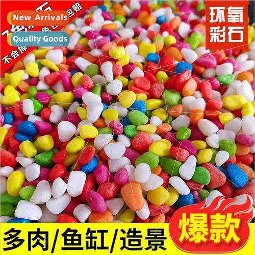 Natural small colored stone fish tank special paving ssuccul