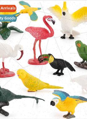 Children simulation animal bird model parrot flamingo toucan