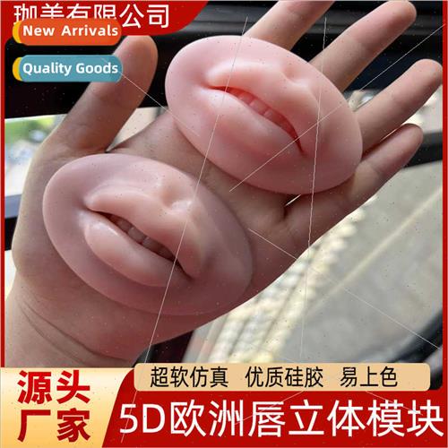 Embroidery p Module 5D mulation Stereoscopic p Block Europe