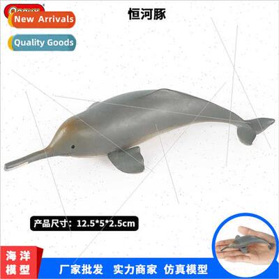 toys simulation model Ganges dolphin dolphin undersea animal