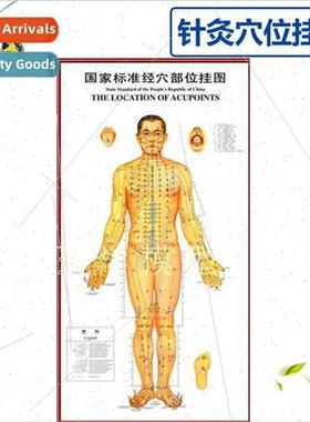 3 High Definion Acupuncture Points Wall Chart Human Meridian