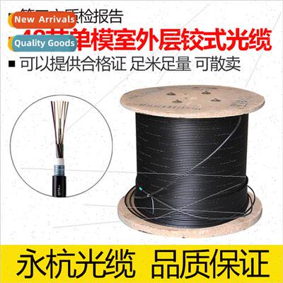 GYTA/TS-48B1 Outdoor Laminated Outdoor Fiber Optic Cable 48-