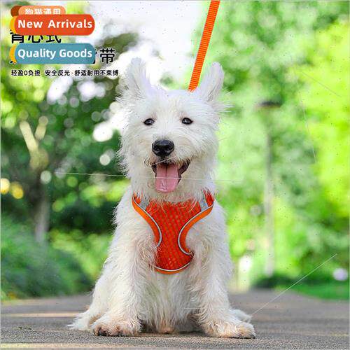 Pet cat dog leash vest type breathable chest back belt out s