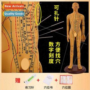 62CM engraved model Butterfly acup copper body Blue human