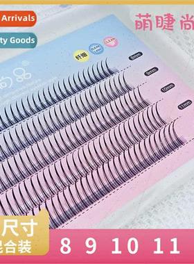 Extensions A type five rows mixed packs eyelashes Segmented