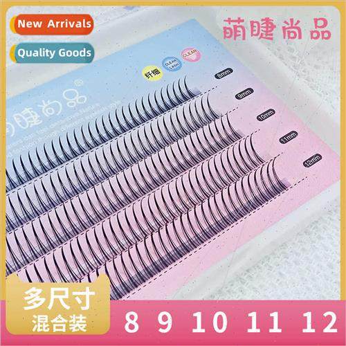 Extensions A type five rows mixed packs eyelashes Segmented