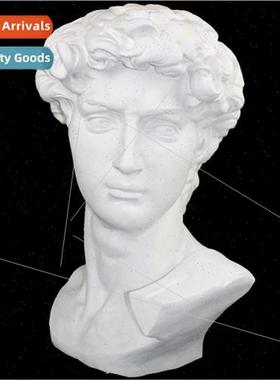 1.2 meters large David head plaster teaching aids plaster st