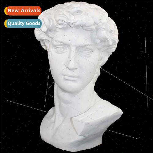 1.2 meters large David head plaster teaching aids plaster st