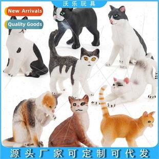 cats pet cat bons black model flower Solid set