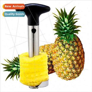 Multifunctional Stainless Steel Pineapple Peeler Pineapple P