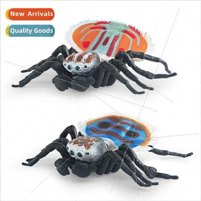 Wild insects animals jumping spider model children cognive p