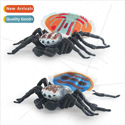 Wild insects animals jumping spider model children cognive p