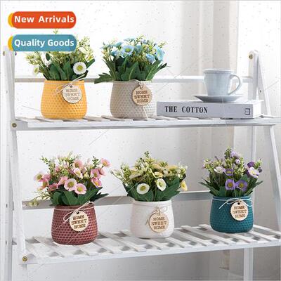 mple versatile Morandi flower pot rustic daisy indoor orname