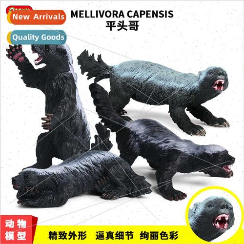 Wild animal model honey badger model pinto solid plastic chi