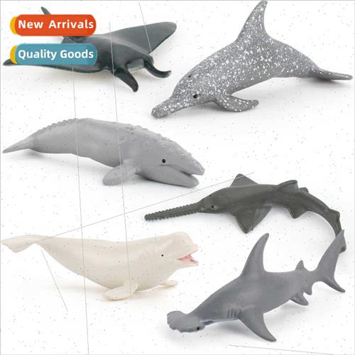 Static mini dolphin magic fish hammerhead shark underwater w