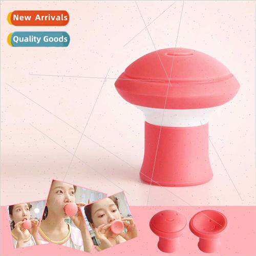 Tote Bento Bag nchbox Insulated Bag Small Fish Insulated Bag