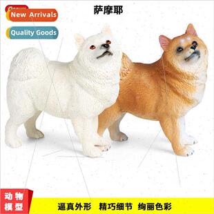 dog animal model Samoyed decora static pet solid
