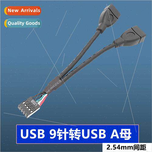 Motherboard 8PIN to USB A female 1 to 2 cable Dupont 9 pin t