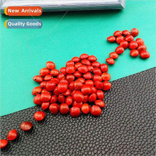 Acacia natural red beans loose beads couple handmade diy bra