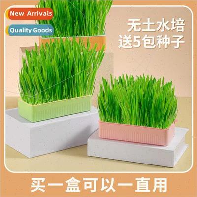 Hydroponic Cat Grass Box Lazy Cat Grass Growing K Cat Snacks