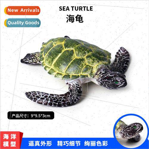 Marine life animal model green small sea turtle Turtle model