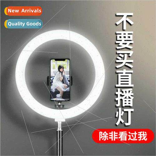 Bracket fill light anchor beauty rejuvenation indoor artifac