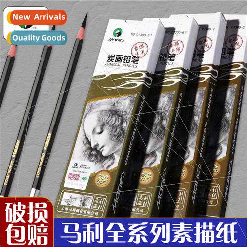 Pencil Soft 6 Hard 2 Medium 4 Extra Soft Sketch Sketch Art D