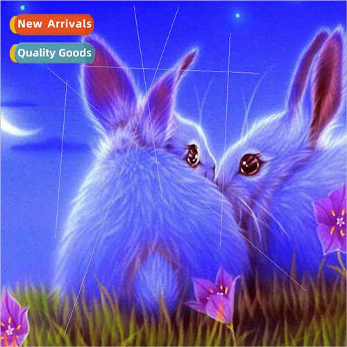 Diamond painting new DIY two rabbs full round diamond handma