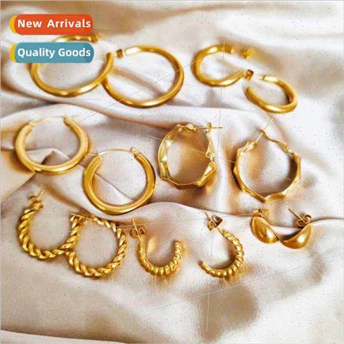 Stainless Steel Earrings Hundred Earrings Europe Cow Horn Tw