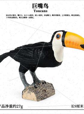 Birds wild toucan toucan parrot children cognive toys orname