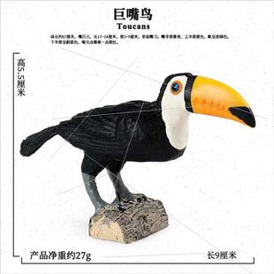 Birds wild toucan toucan parrot children cognive toys orname