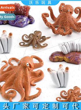Marine animals octopus growth cycle ornaments model children