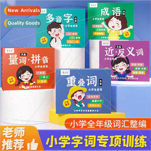 Language Idioms Training Words Accumulation Book Pinyin Lear