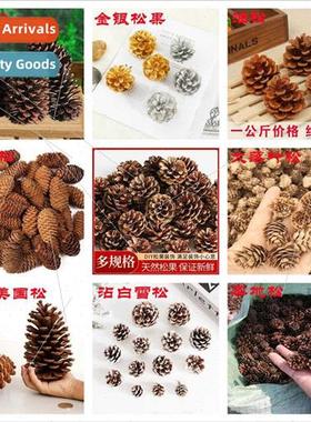 American Pine Native Pine Spruce Pine Pine Flower Larch Chri