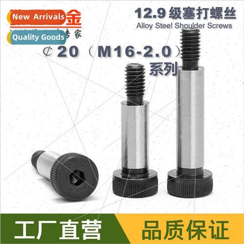 20*30-20*150M16-2.012.9 alloy steel plug screws bolts should