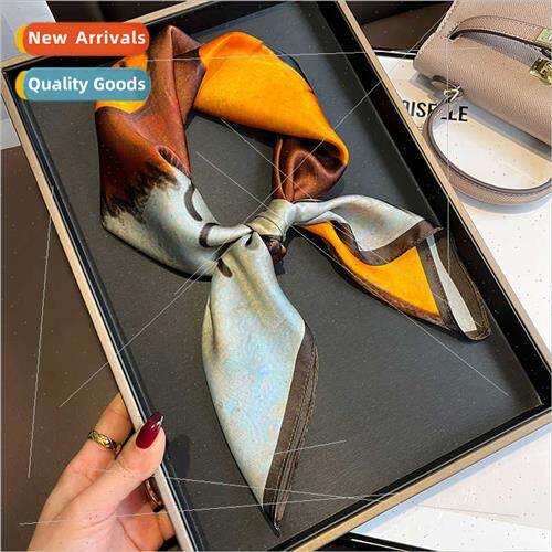 American cartoon age reduction lion 70cm silk silk scarf mul