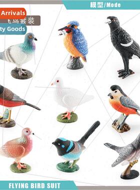 Kingfisher magpie dove cuckoo blue wren warbler red-bellied