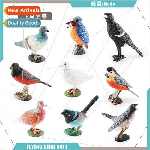 Kingfisher magpie dove cuckoo blue wren warbler red-bellied